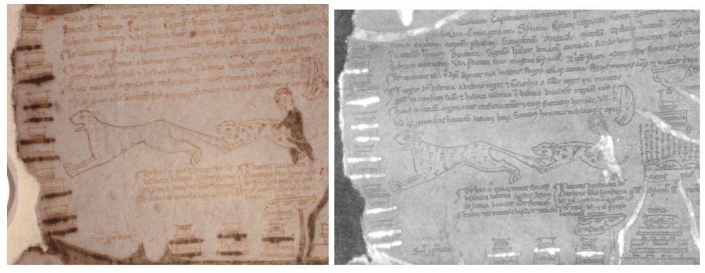 Sourcing the Vercelli&nbsp;Map